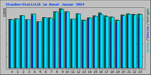 Stunden-Statistik im Monat Januar 2024