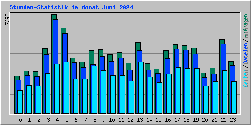 Stunden-Statistik im Monat Juni 2024